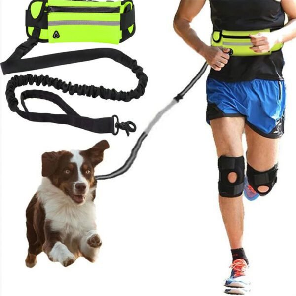 dog leash hands-free