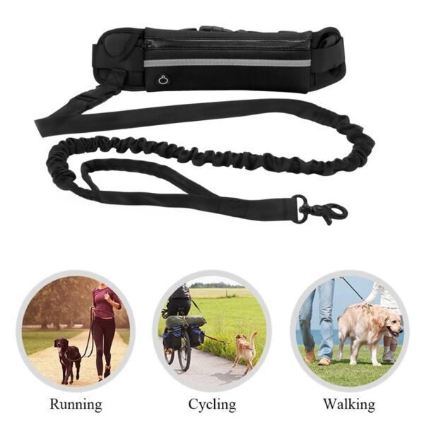 dog leash waist belt