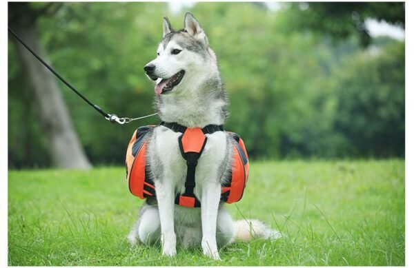 hiking dog backpack