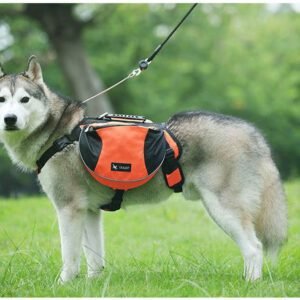 Dog Saddle Bag