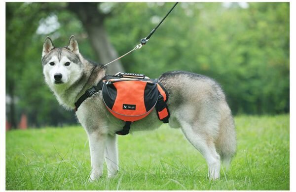 dog hiking backpack harness