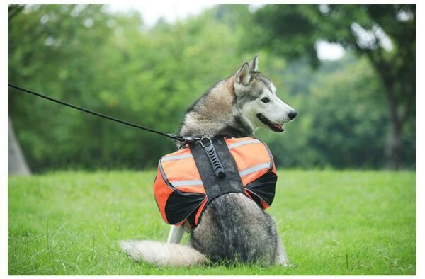 Dog Hiking Backpack