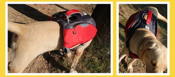 dog backpack with handle