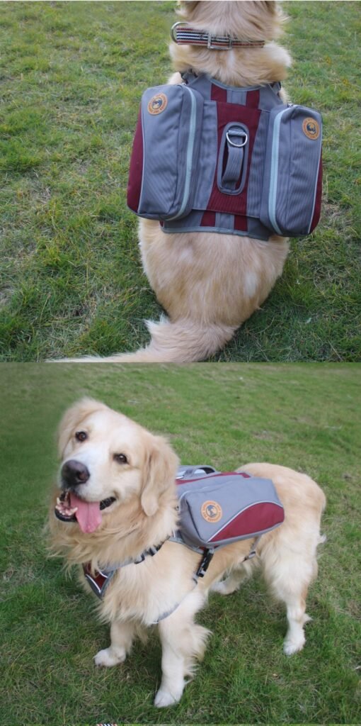 dog handle backpack