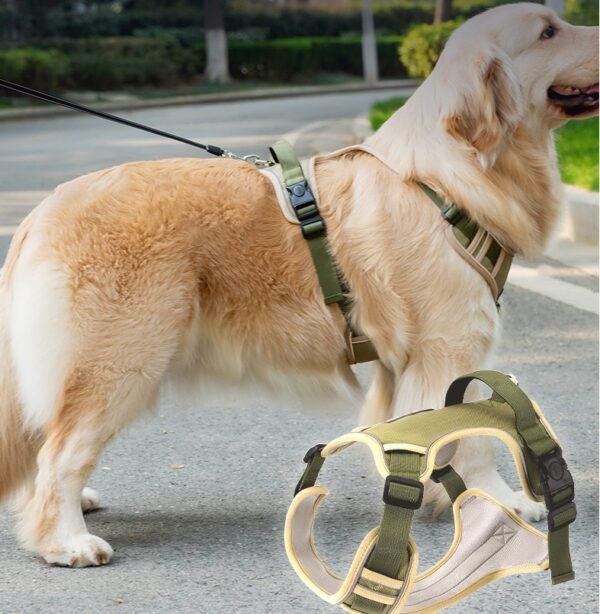 dog harness for walking