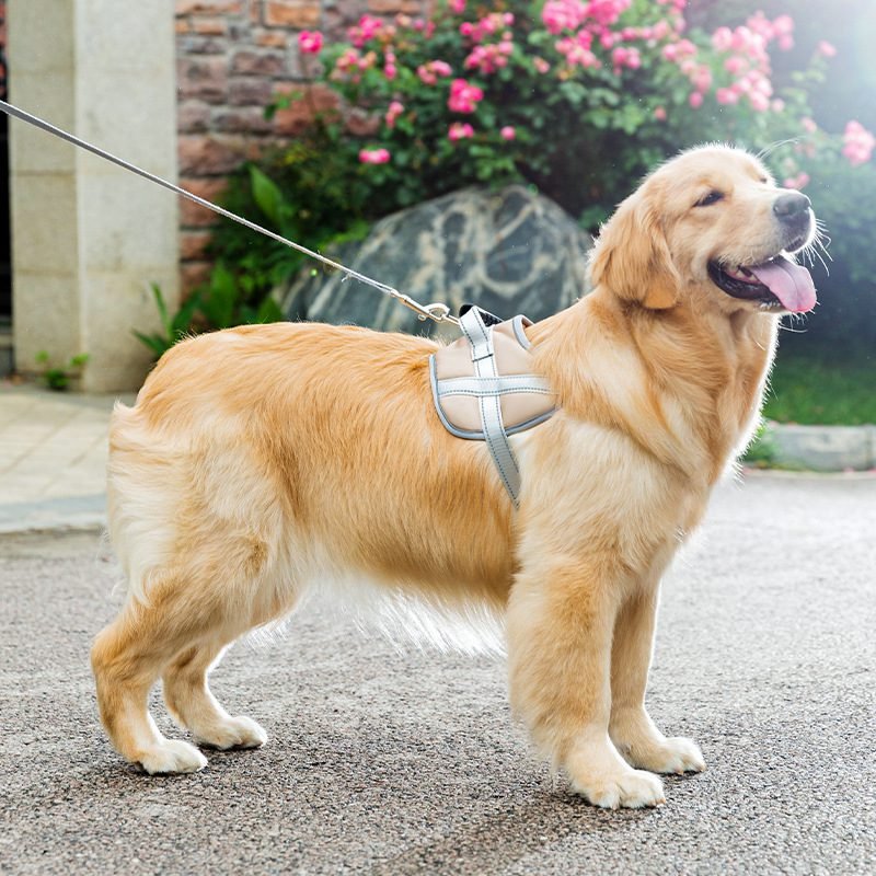 dog harness with handle