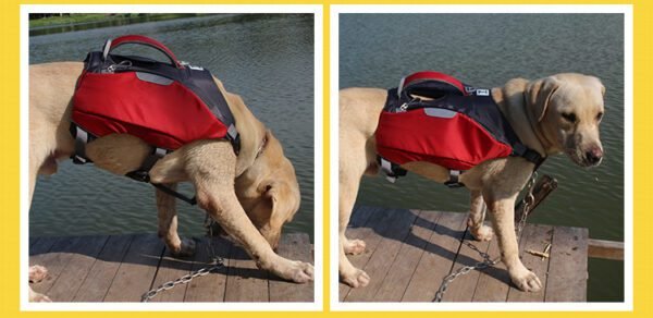 dog rescue backpack