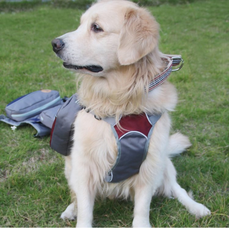 hiking dog harness with handle