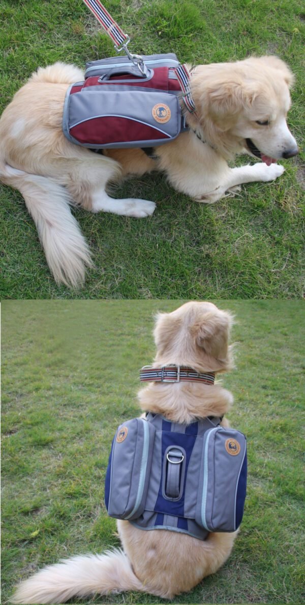 large dog carrying harness