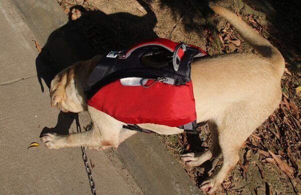 large dog rescue backpack