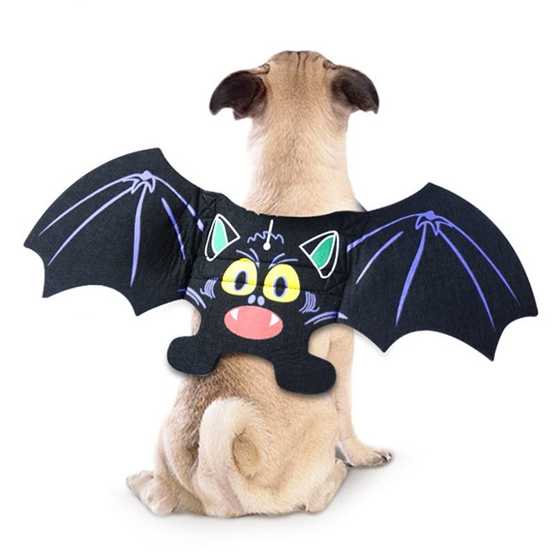 halloween dog costume