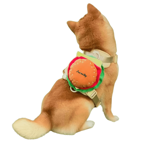 small backpack for dogs to wear