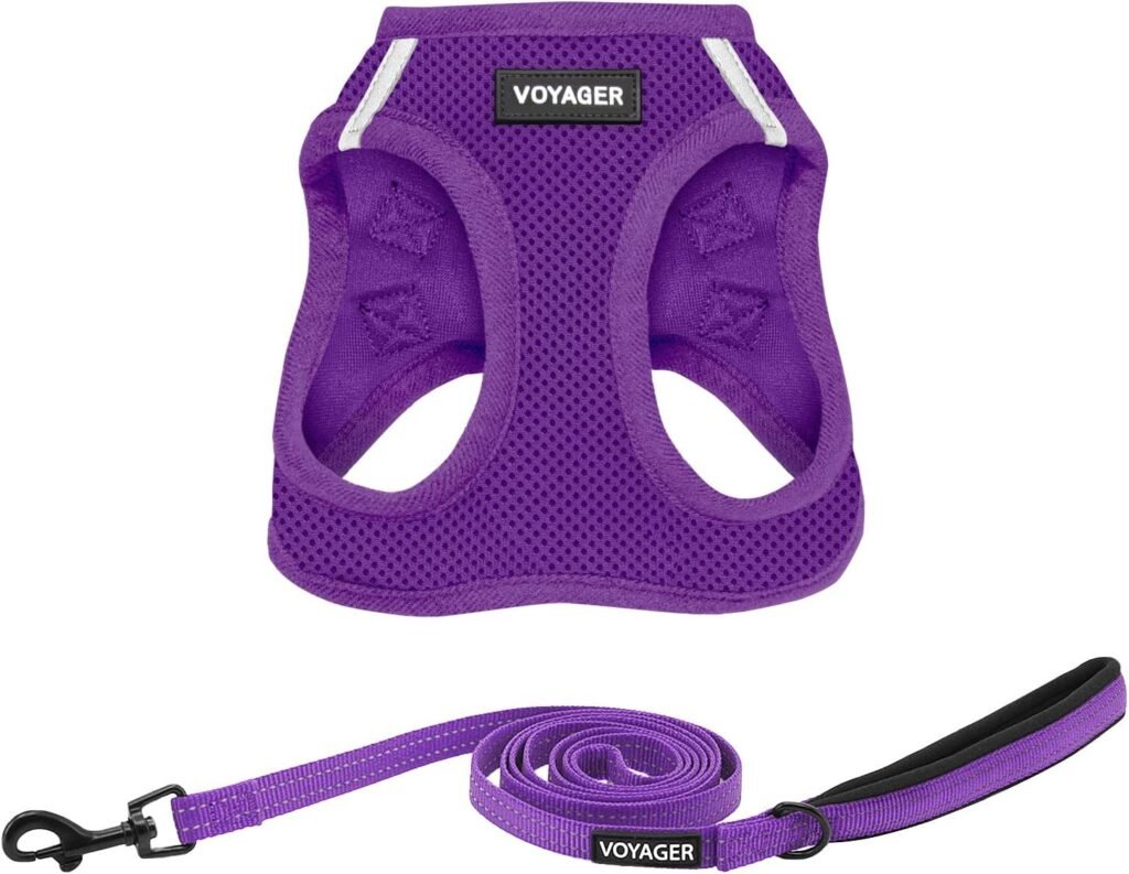 small dog chest harness