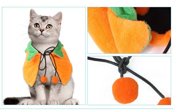 cat cape costume