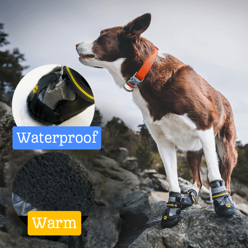 Waterproof boots for dog