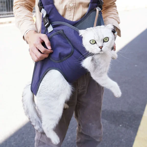 cat carrier backpack