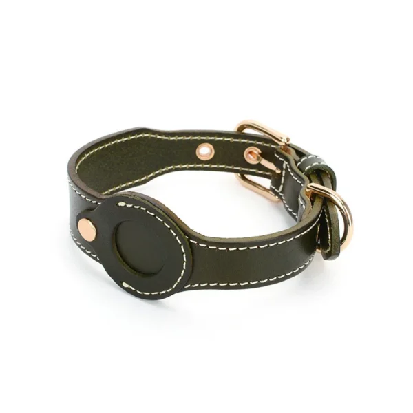 dog collar apple-airtag