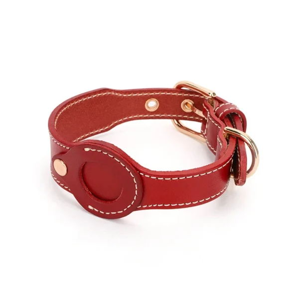 dog collar with airtag holder