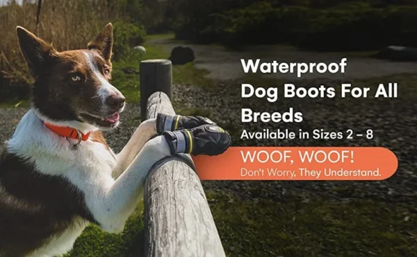 dog hiking boots