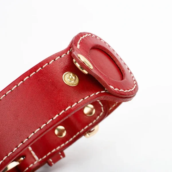 Leather Dog Collar with Apple AirTag Holder - Image 8