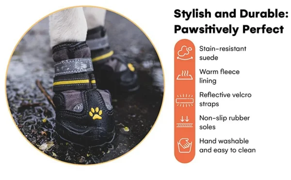 stylish dog boots