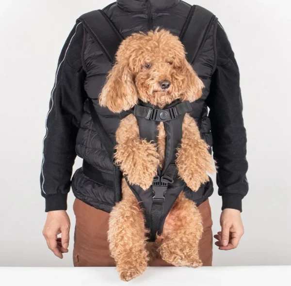 chest carrier for dog