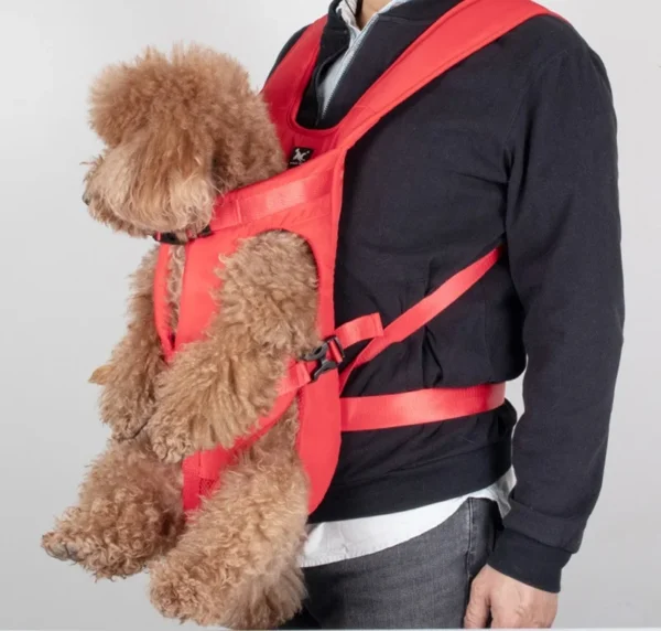 red dog front carrier