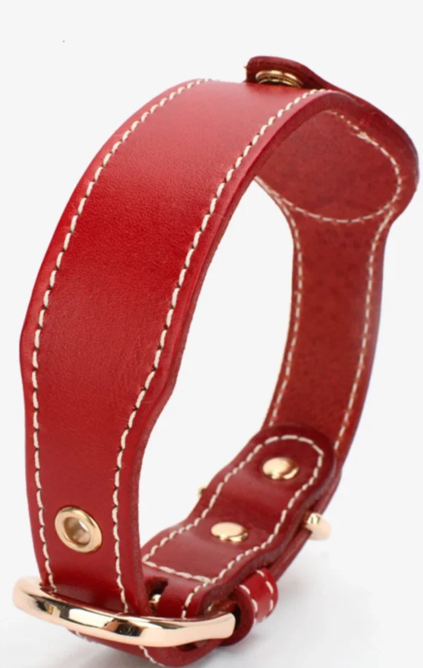 Leather Dog Collar with Apple AirTag Holder - Image 9