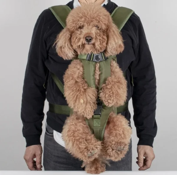 green dog front carrier