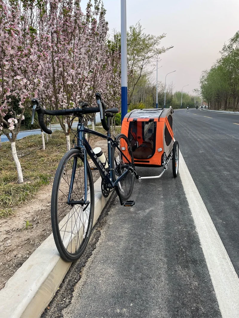 bicycle trailer for dog