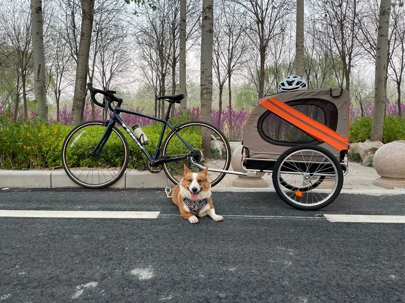 dog bicycle trailer