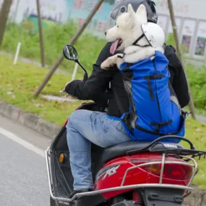 motorcycle dog backpack