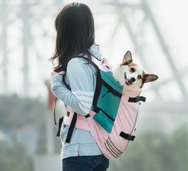 backpack for corgi