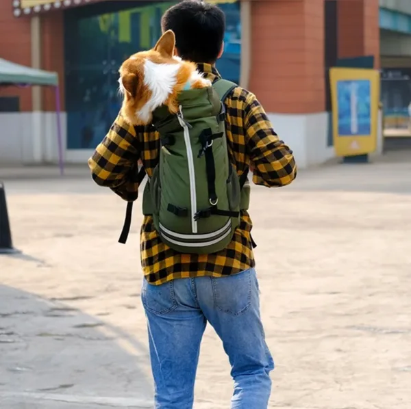 corgi carrier backpack