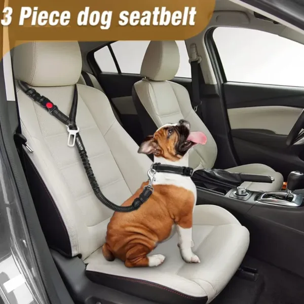 dog leash seat belt