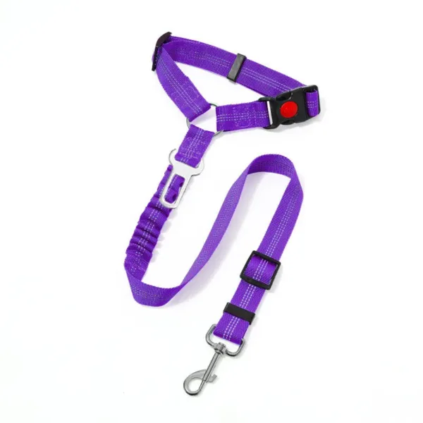 dog leash seat belt buckle