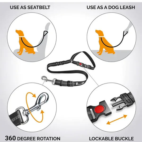 dog leash seatbelt