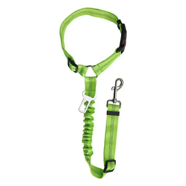 dog leash with seat belt buckle