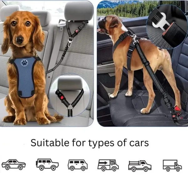 dog seat belt clip