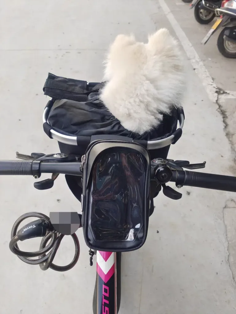 front dog bicycle basket