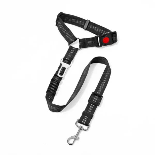 seat belt leash for dog