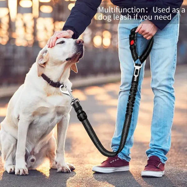 seat belt leash for dogs