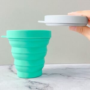 Collapsible Silicone Bowl