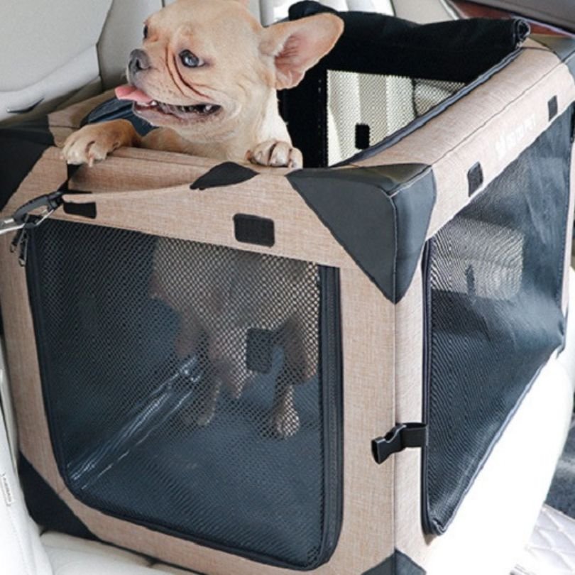 collapsible dog crate