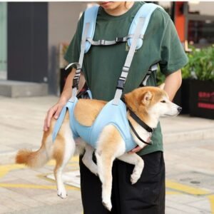 Front Backpack Dog Carrier