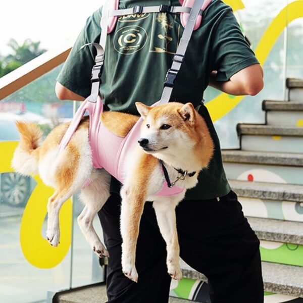 Pet Shoulder Carrier Bag