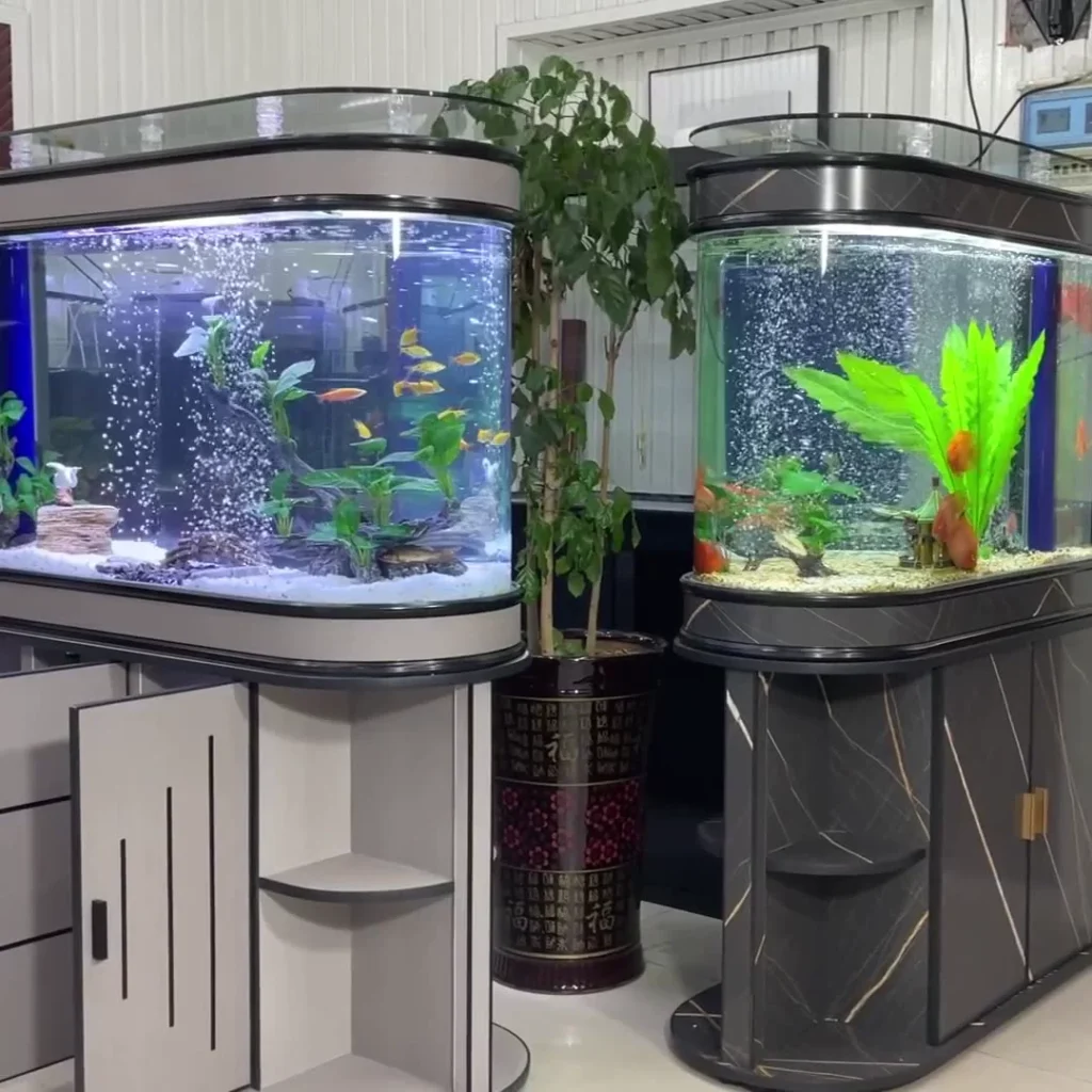 fish tank aquarium