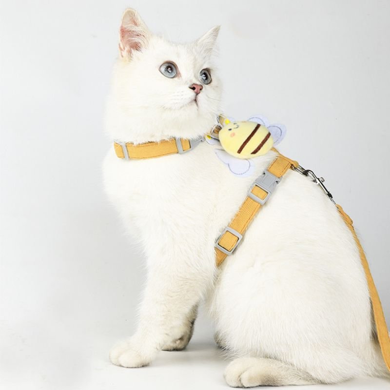 cat leash
