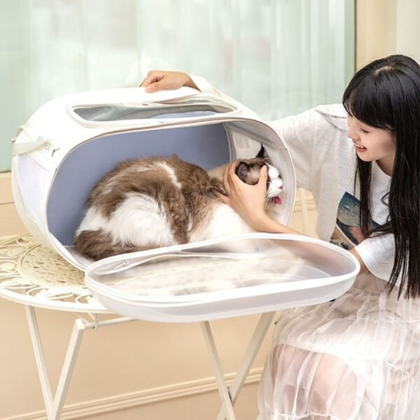 cat stroller with detachable carrier