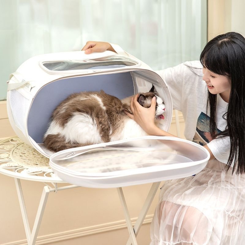 cat stroller with detachable carrier